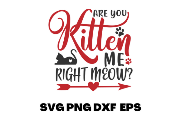 KITTEN DESIGN CAT DESIGN Review